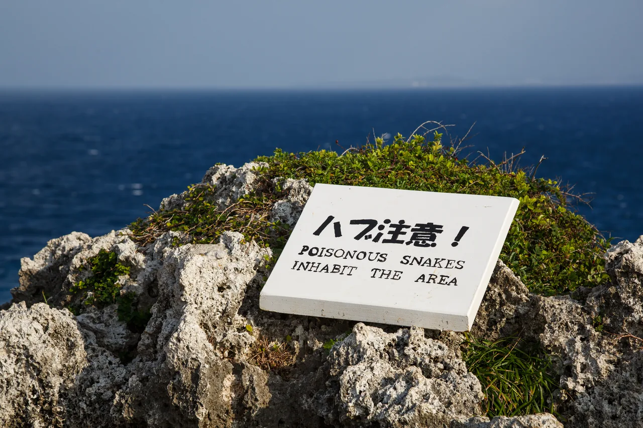 Cape Manzamo cliff on the Onna resort coast