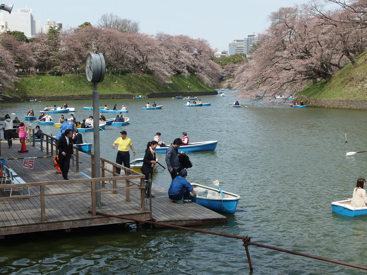 Cherry blossoms along the Chidorigafuchi moat in Tokyo Cherry blossoms along the Chidorigafuchi moat in Tokyo