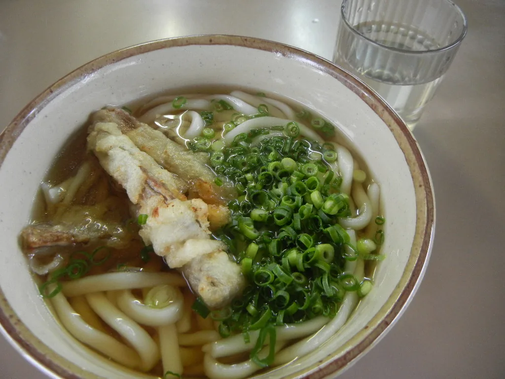 A bowl of soft Hakata udon topped with a large piece of burdock tempura