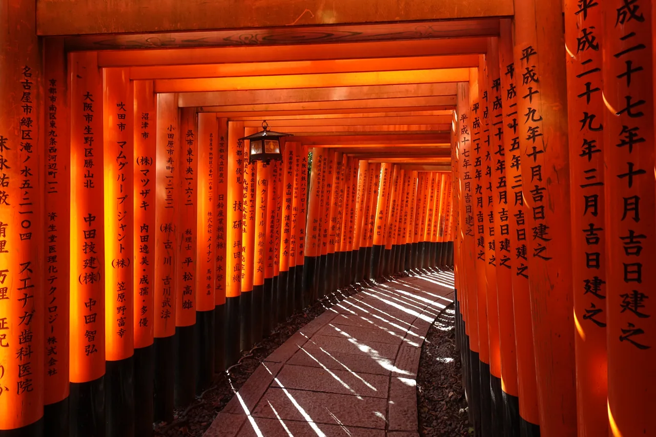 The tunnel of vermilion torii gates on the Senbon Torii path at Fushimi Inari Taisha The tunnel of vermilion torii gates on the Senbon Torii path at Fushimi Inari Taisha