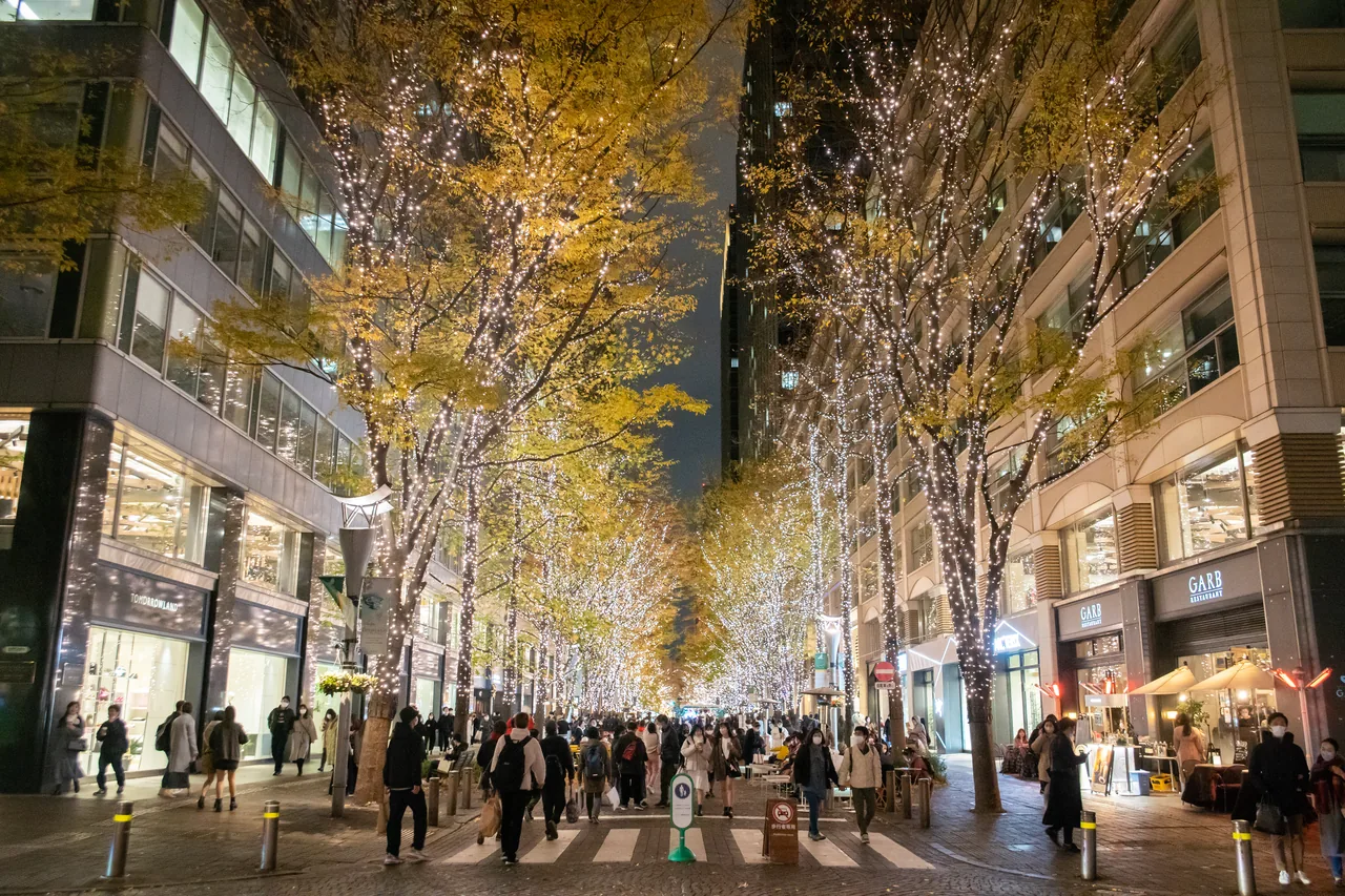Tree-lined Marunouchi in Tokyo covered in white winter illumination lights at night in December