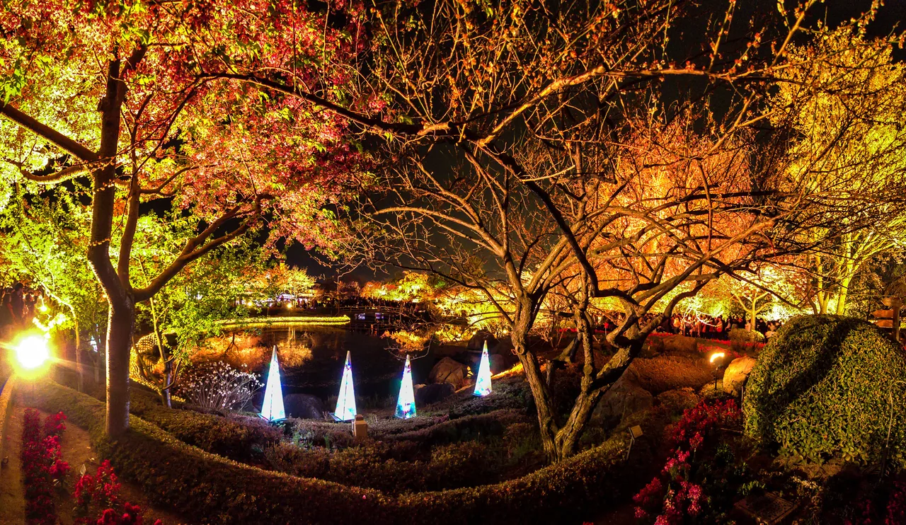 Illuminated trees and a light tunnel reflected in water at Nabana no Sato in Mie