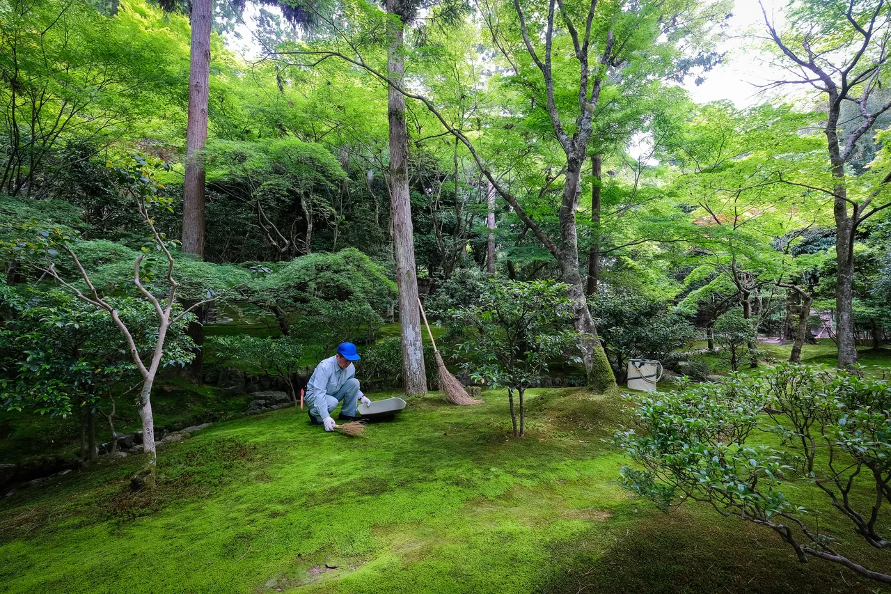 The moss garden at Ginkaku-ji, the Silver Pavilion, in northern Higashiyama, Kyoto The moss garden at Ginkaku-ji, the Silver Pavilion, in northern Higashiyama, Kyoto