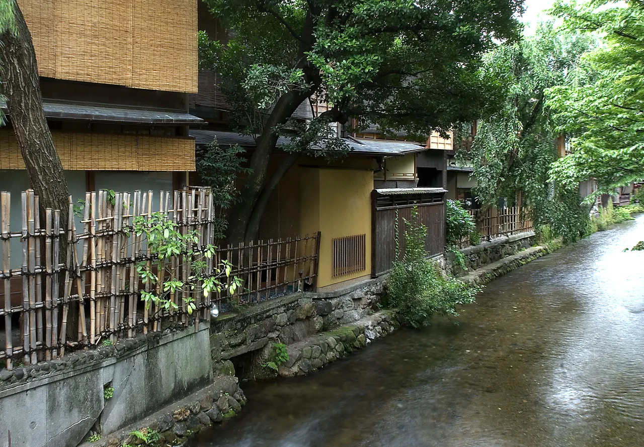The willow-lined Shirakawa canal lane in Kyoto's Gion district The willow-lined Shirakawa canal lane in Kyoto's Gion district