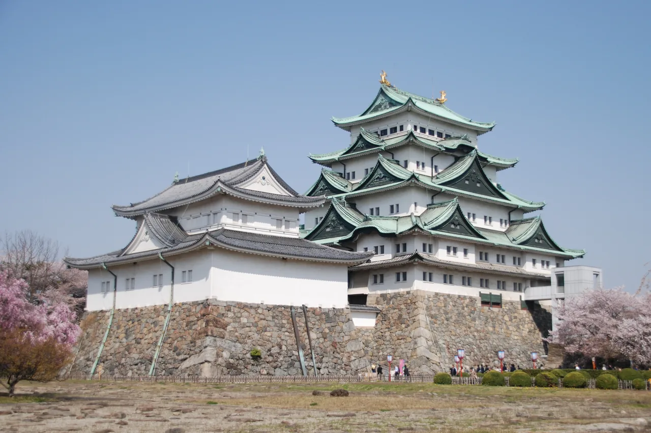 Nagoya Castle with its gold shachihoko amid spring cherry blossoms Nagoya Castle with its gold shachihoko amid spring cherry blossoms