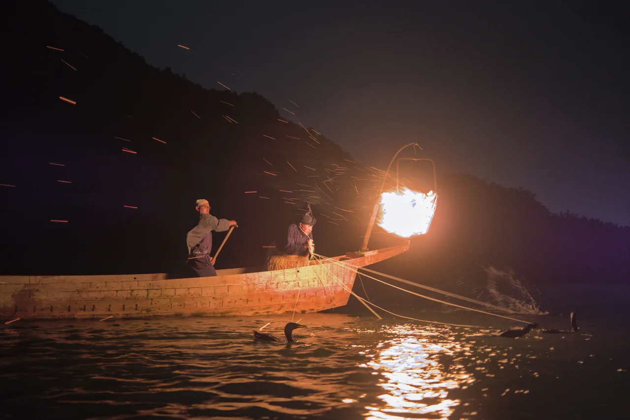 Cormorant fishing on the Nagara River at night, near Gifu Cormorant fishing on the Nagara River at night, near Gifu