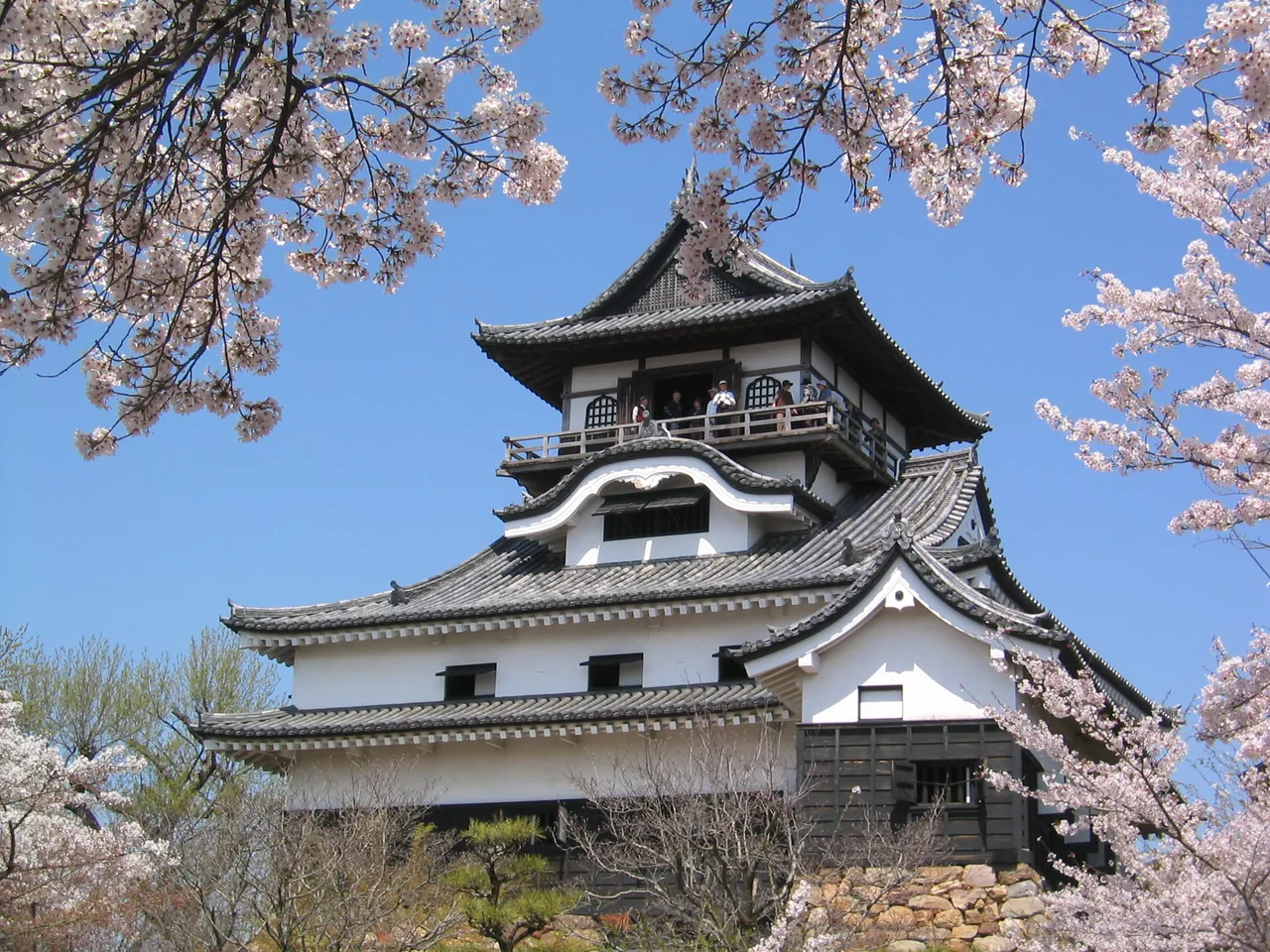 Inuyama Castle framed by cherry blossoms, a day trip from Nagoya Inuyama Castle framed by cherry blossoms, a day trip from Nagoya