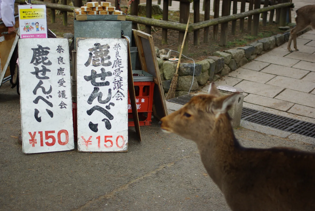 A shika senbei deer cracker stand in Nara Park A shika senbei deer cracker stand in Nara Park
