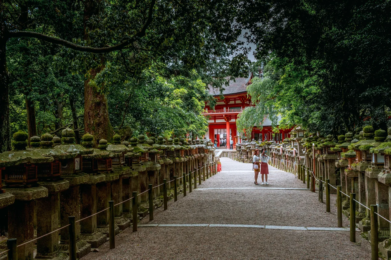 The moss-covered stone lantern-lined approach path to Kasuga Taisha Shrine The moss-covered stone lantern-lined approach path to Kasuga Taisha Shrine