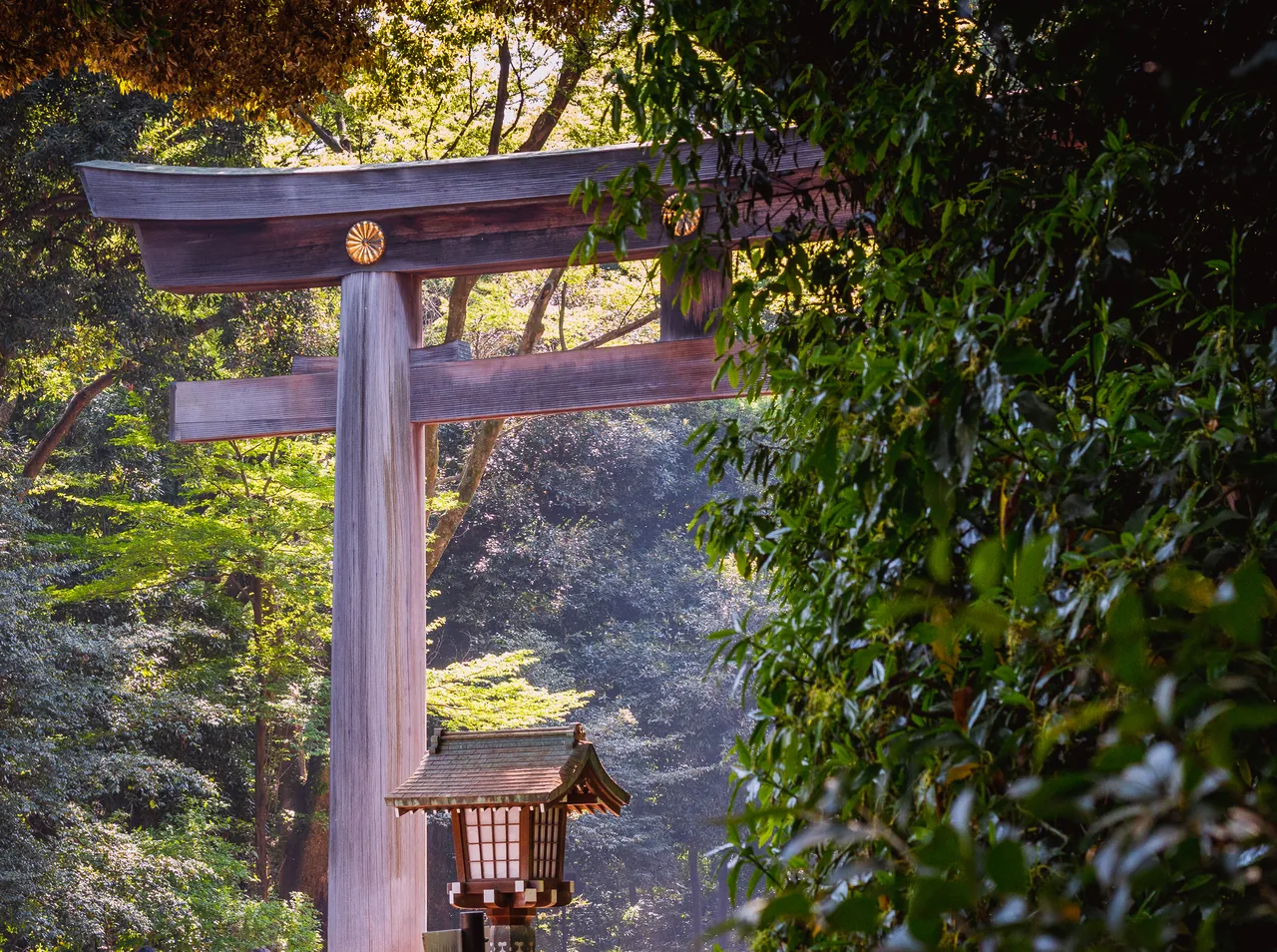 The wooden torii gate at the entrance to Meiji Jingu shrine in Tokyo The wooden torii gate at the entrance to Meiji Jingu shrine in Tokyo