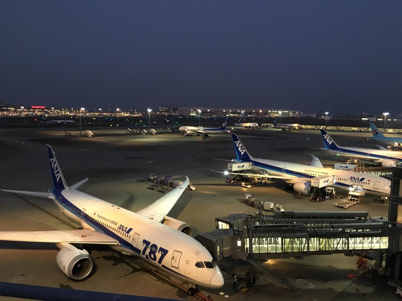 Aircraft parked at jet bridges on the apron at Haneda Airport after dark, with apron floodlights, ground vehicles and lit terminal buildings behind