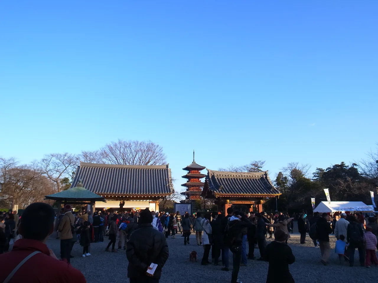 A wide crowd of visitors in the grounds of a Japanese temple on the second day of the new year