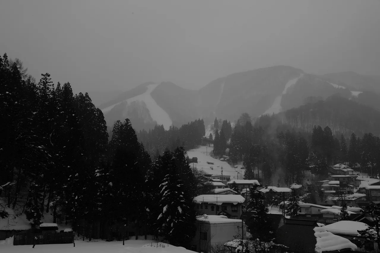 Snow-buried rooftops at Nozawa Onsen in the foreground, cedars and the mountain with ski runs cut into it behind, snow still falling, almost no colour in the scene