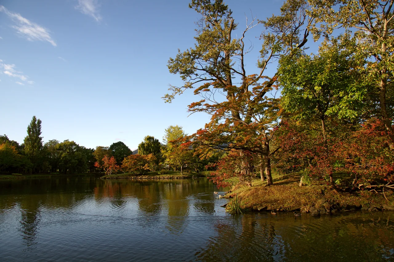 Nakajima Park in Sapporo, showing the pond and surrounding trees, with buildings beyond the park edge.
