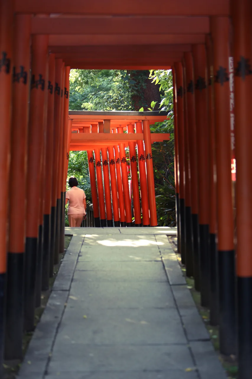 A path running uphill under a continuous line of vermilion torii gates