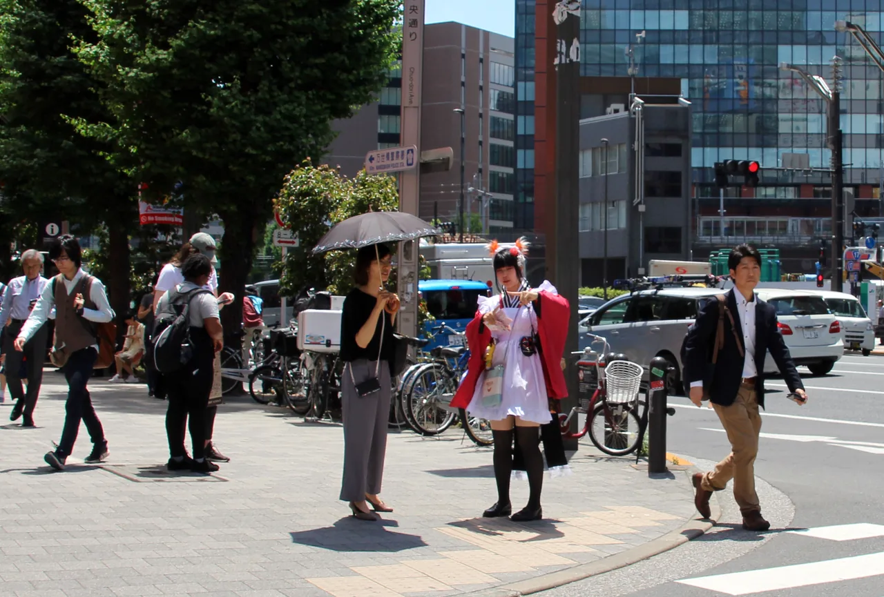 A person in maid costume handing out flyers on an Akihabara street A person in maid costume handing out flyers on an Akihabara street