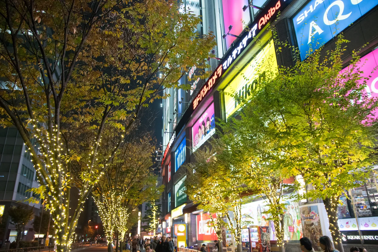 Akihabara shop signs lit up after dark along the main avenue Akihabara shop signs lit up after dark along the main avenue