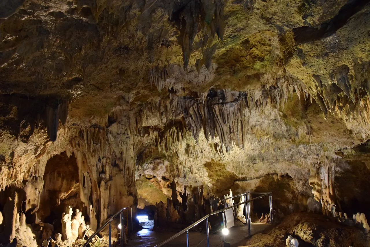 Lit stalactites hanging from the ceiling of an underground cave