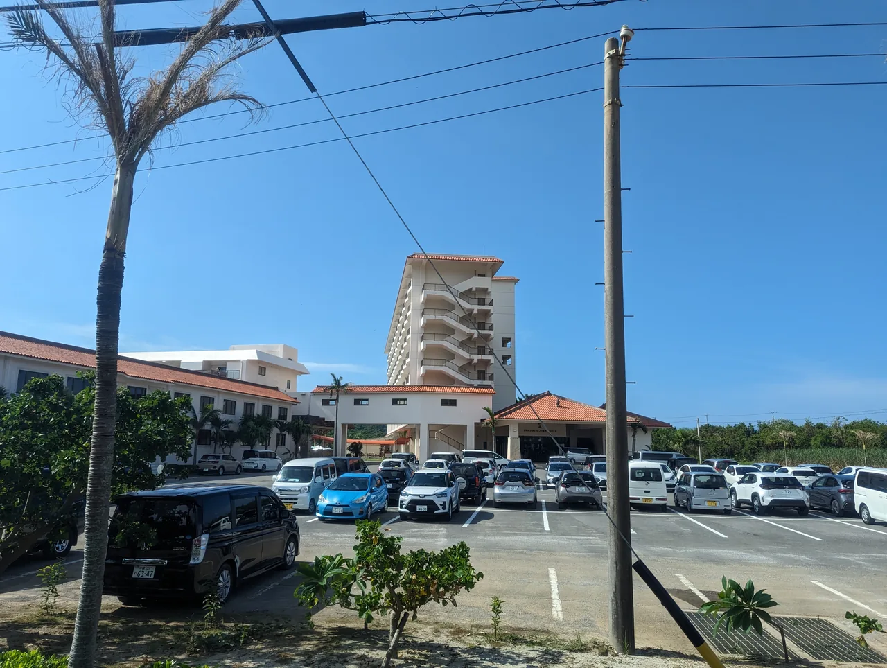 A multi-storey hotel building behind a car park and palm trees in Kabira