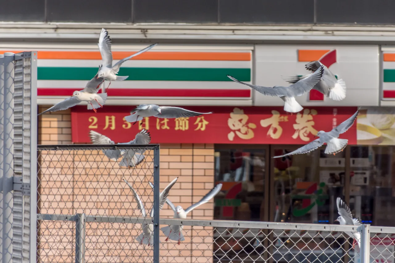 A red Setsubun ehomaki banner hanging under a 7-Eleven sign, with gulls flying past