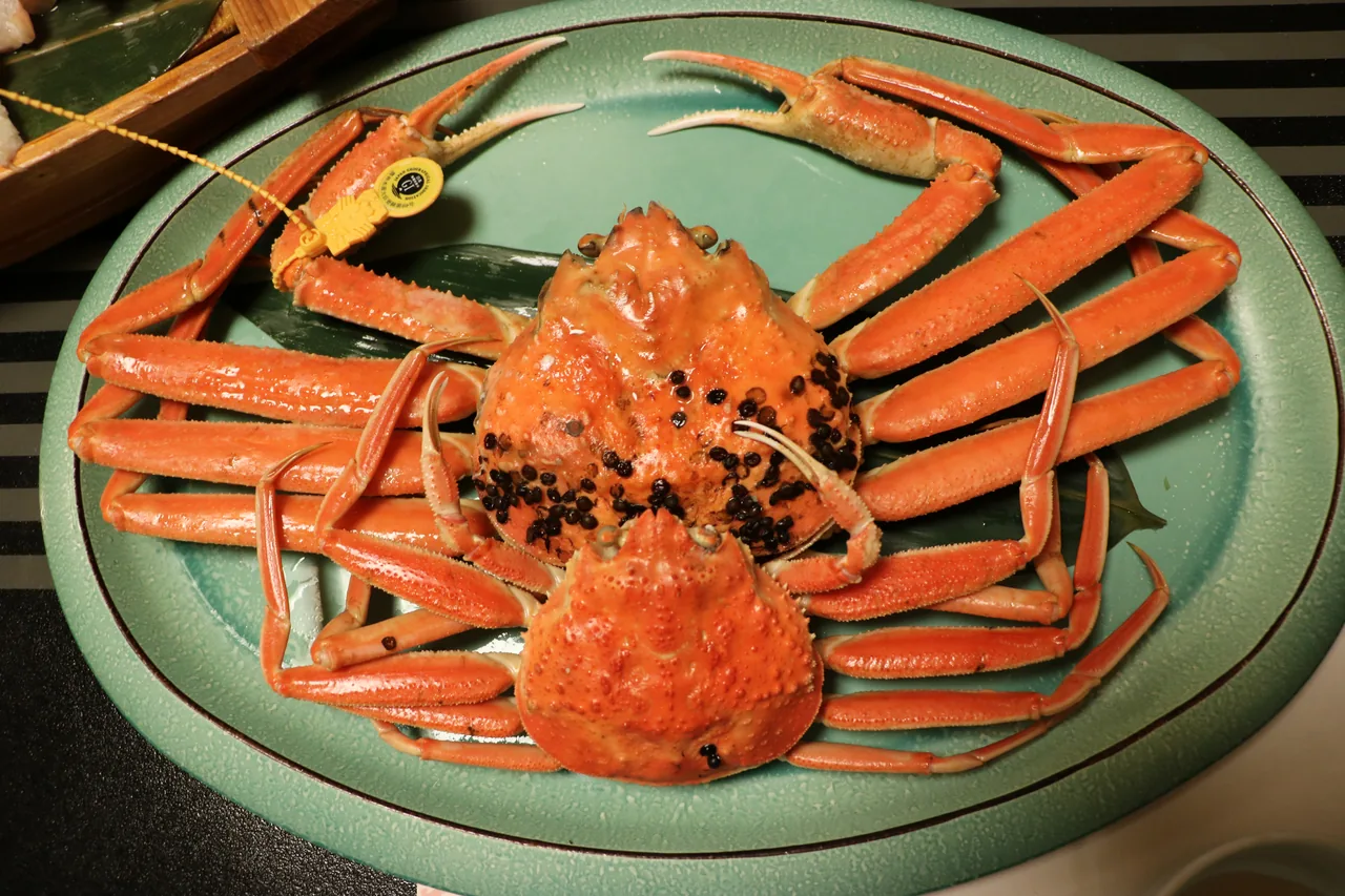 Two boiled snow crabs on a green plate, the male carrying a yellow origin tag