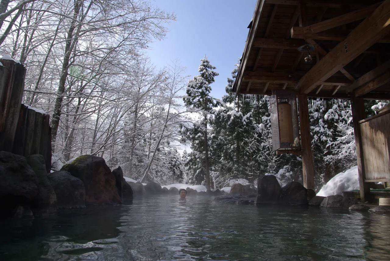 A rock-edged outdoor bath under a wooden roof, steam rising beside snow-covered trees