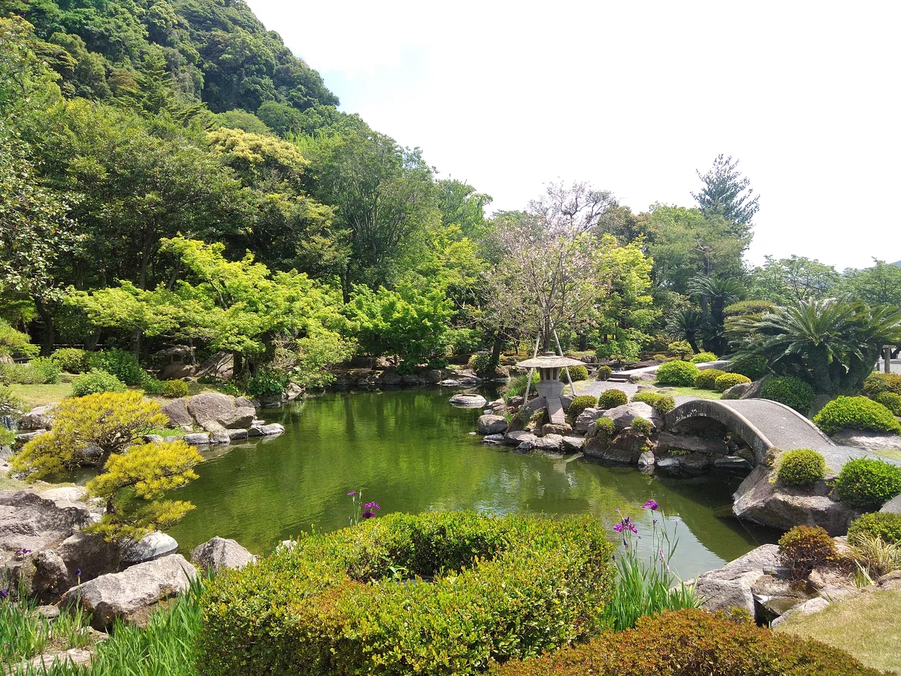 A pond in Senganen with placed rocks, a low stone bridge and clipped shrubs around it
