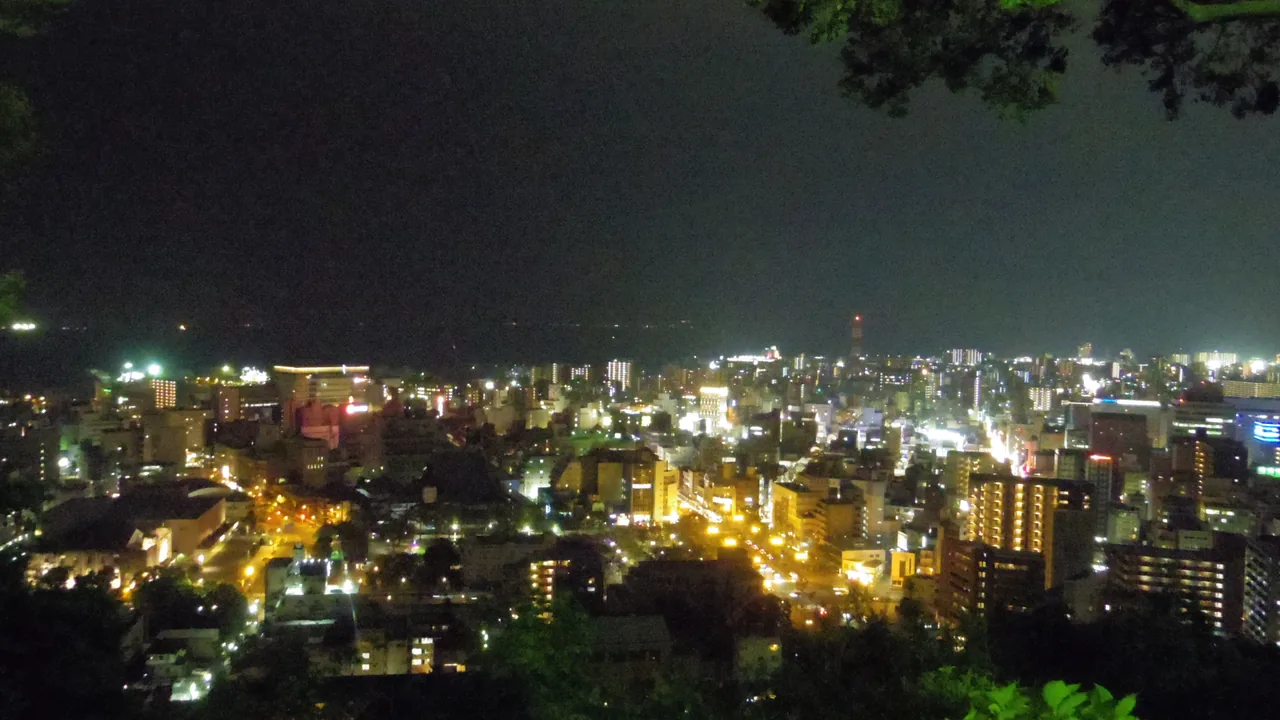 The lights of Kagoshima at night seen from the Shiroyama observatory, framed by dark trees