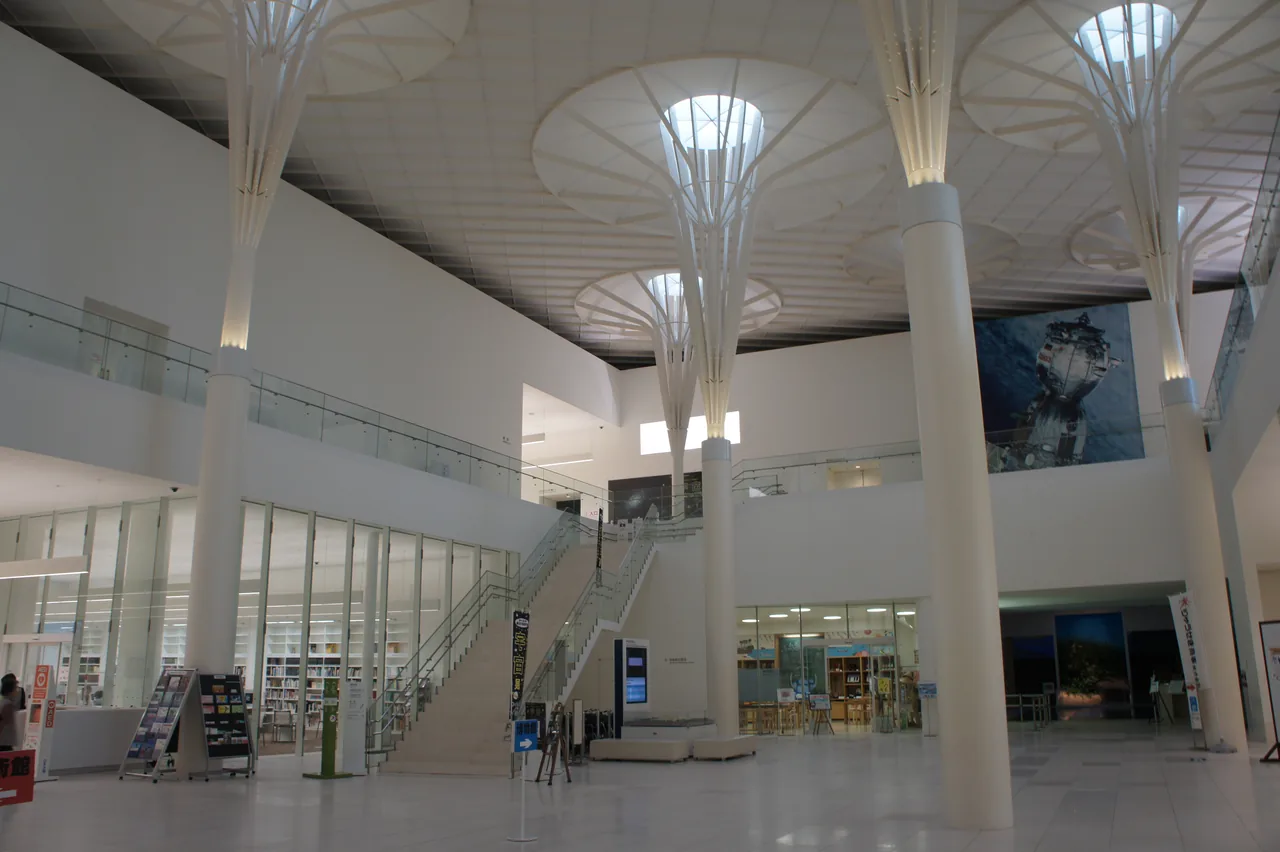 A bright museum concourse where white columns open out like umbrellas under the ceiling