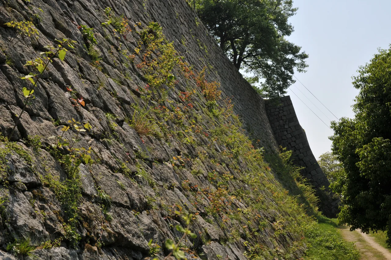 The high curved stone wall below the keep at Marugame Castle