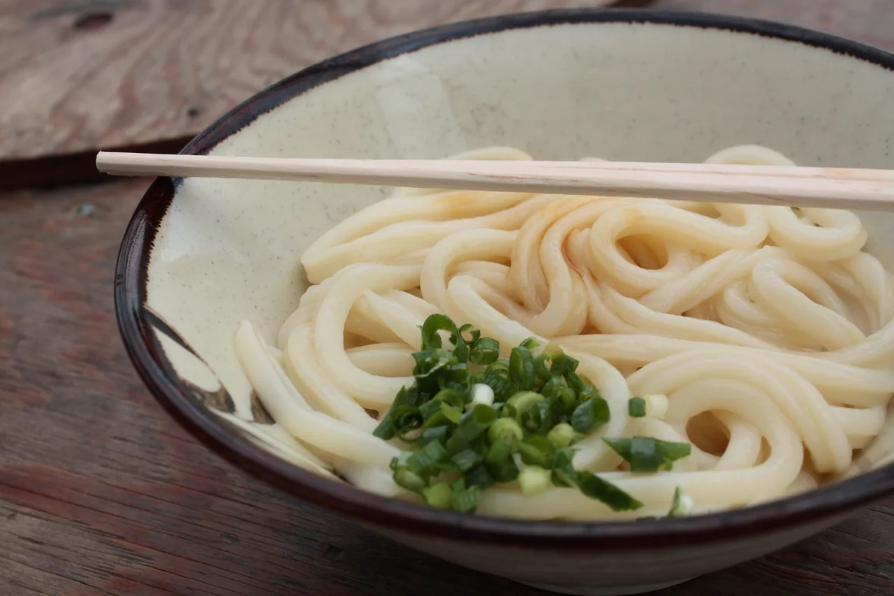 A bowl of kama-age Sanuki udon with chopsticks lifting the noodles