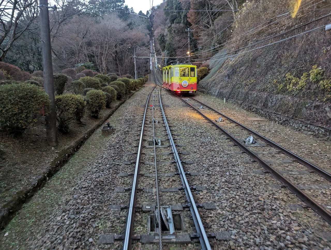 Two cable cars passing each other on the steep track up Mt Takao, with trees on both sides