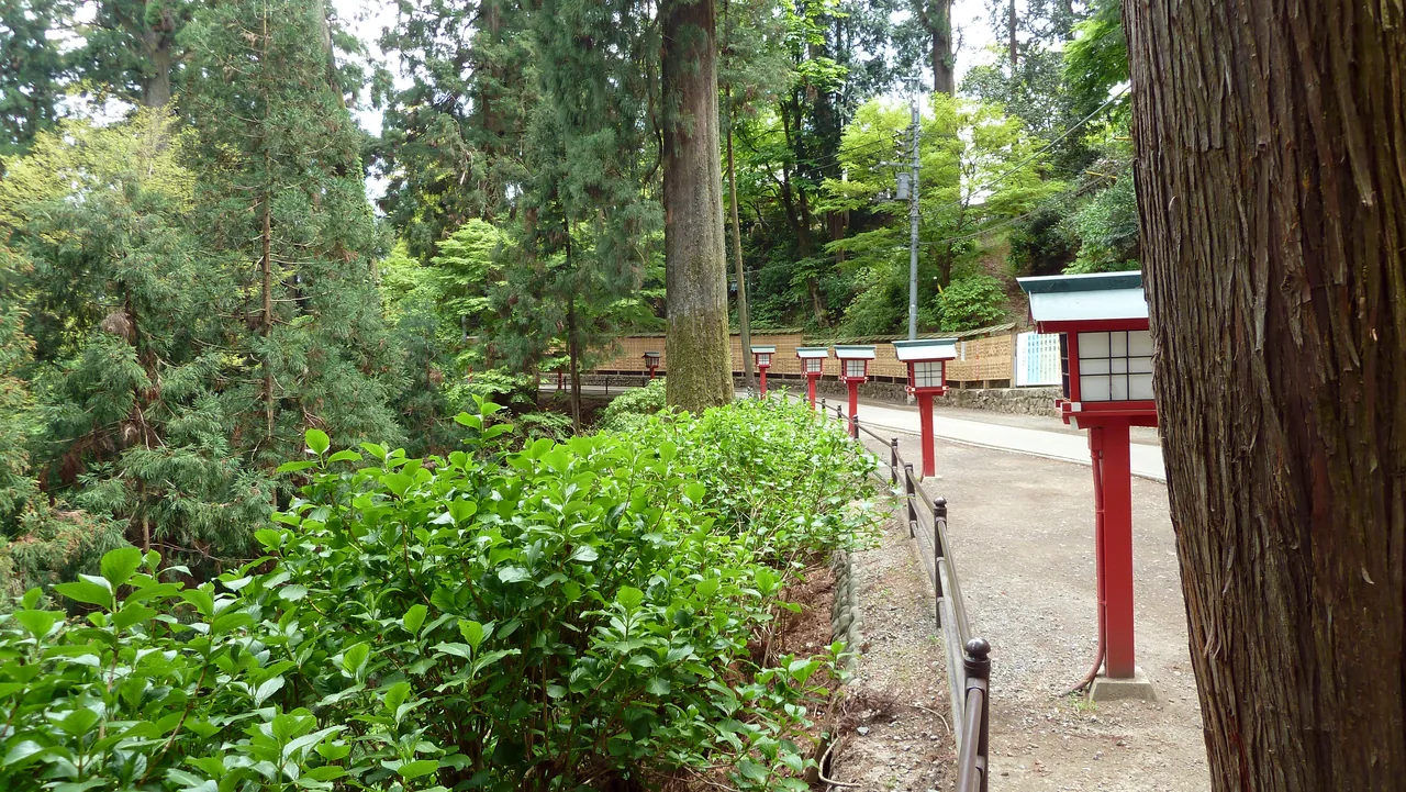 A paved path on Mt Takao lined with red railings, running between tall cedars